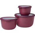 Nordic Berry