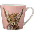 Fennec Fox