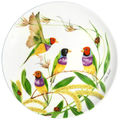 Gouldian Finch