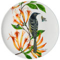 Regent Honeyeater