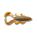Clear Water Craw