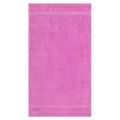 Pink Carnation