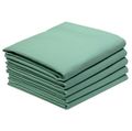 Mist Green