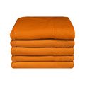 Vibrant Orange