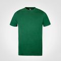 Bottle Green