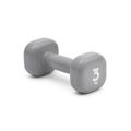 3kgs