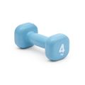 4kgs