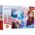 Disney Frozen 2