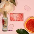 Be Delicios DKNY