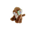 Lion Cub Small