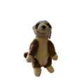 Meercat