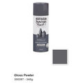 Gloss Pewter