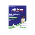 Small Dogs 0.67ml (10)
