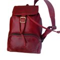 Cherry red/ dark red