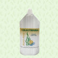 5 litre