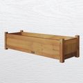 Cedar