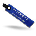 In Training - Blue