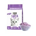 Soya Clump Lavender