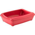 Spicy Coral