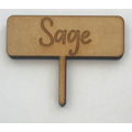 Sage