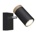 1 Light