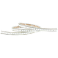 Cool White (6000K)