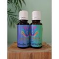 20ml
