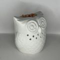 Small White Owl