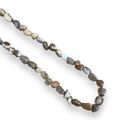 Picture Jasper