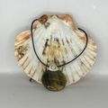 Tiger Eye Moonstone