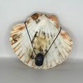 Chaoite