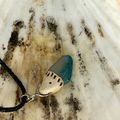 Chrysocolla
