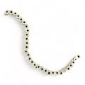 White Evil Eye