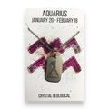 Aquarius Tag