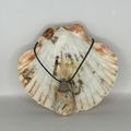 Kalahari Picture Jasper