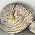 Moon and Star (Gold)