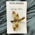 Tiger Eye and Citrine