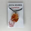 Oval Carnelian