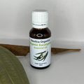 Eucalyptus 22ml