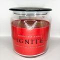 Ignite 500ml
