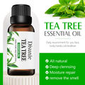 Tea Tree