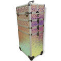Rainbow/Pink Holographic pattern