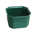 Green Single