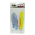 Crazy Craft Pastel Large Goose Feathers