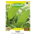 Sage (Salvia officinalis)