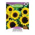 Sunflower (Dwarf Sunspot)