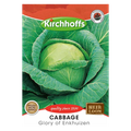 Cabbage (Glory of Enkhuizen)