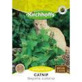 Catnip (Nepeta cataria)