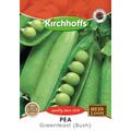 Pea (Greanfeast - Bush)