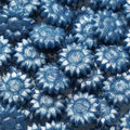 Glossy French Blue